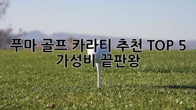 푸마 골프 카라티 추천 TOP 5: 가성비 끝판왕